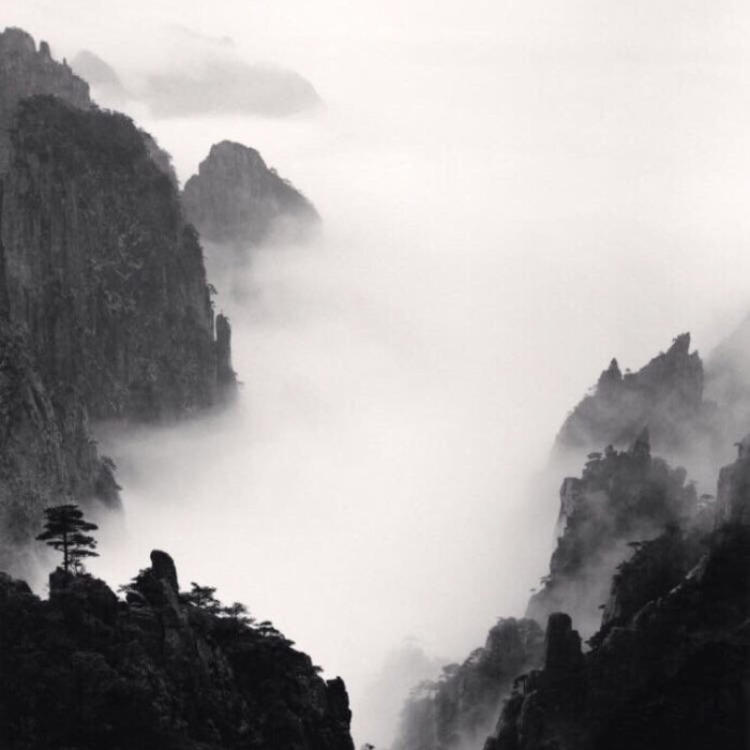 相乐左之助（身份：前赤报队准队士、“恶”字背衣打手） - 动作大片蓝光在线观看 - 网络看电影